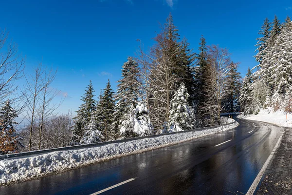 Блестящий Снимок Дороги Снежными Деревьями Горах Шварцвальда Германии — стоковое фото