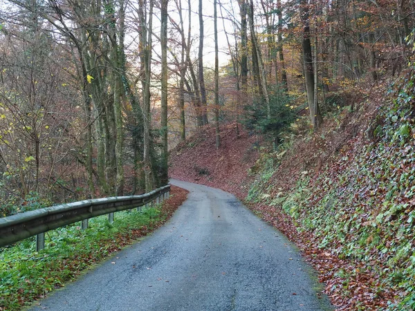 Una Strada Che Attraversa Una Pittoresca Foresta Autunnale Con Alberi — Foto Stock