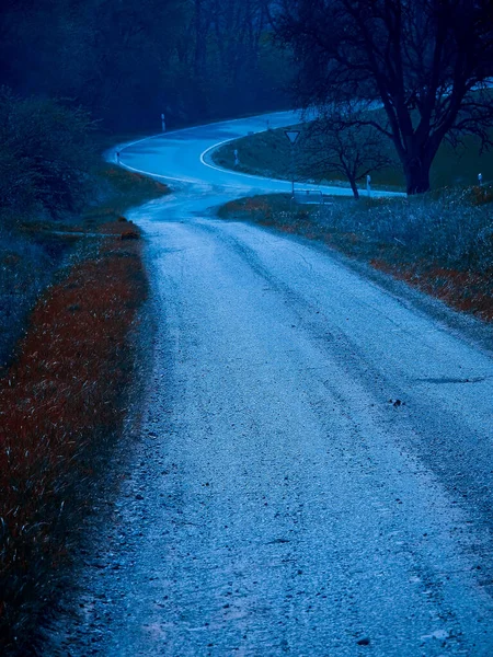 Colpo Verticale Una Strada Circondata Alberi — Foto Stock