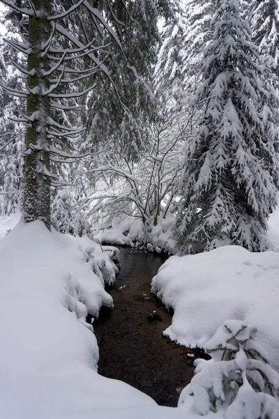 Plan Vertical Beau Petit Ruisseau Enneigé Dans Forêt Hiver — Photo