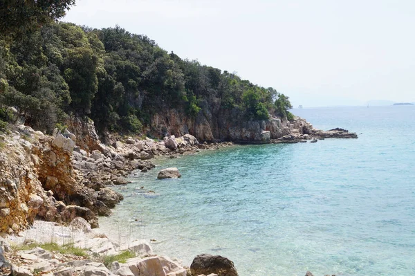 木々に囲まれた美しい岩の海岸 — ストック写真