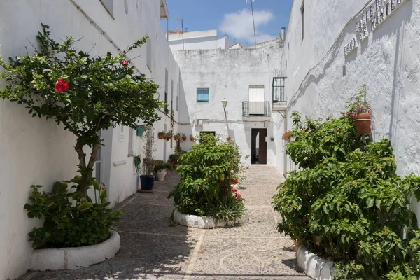 Prachtige Witte Gebouwen Planten Straten Van Provincie Cadiz Andalusië Spanje — Stockfoto