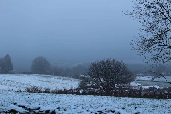 Paysage Arbres Nus Dans Une Colline Neige Par Une Journée — Photo