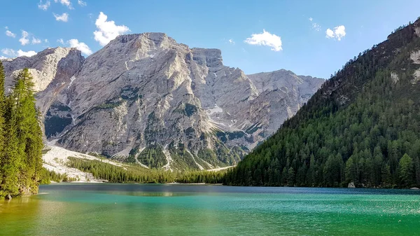 绿树成荫 绿树成荫 环抱着岩石的湖景 — 图库照片