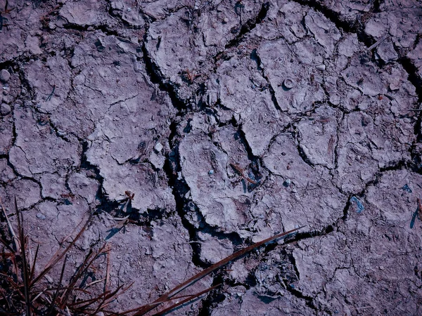 Detailní Záběr Popraskané Země Pod Slunečním Světlem — Stock fotografie