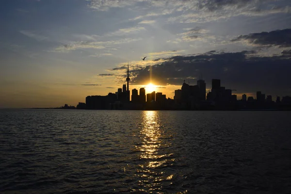 Silhuetten Den Vackra Skyline Staden Toronto Kanada Fångas Vid Solnedgången — Stockfoto