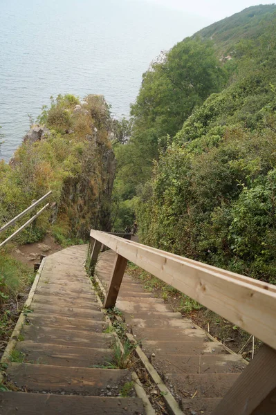 Een Verticaal Shot Van Houten Trappen Omringd Door Groene Bomen — Stockfoto