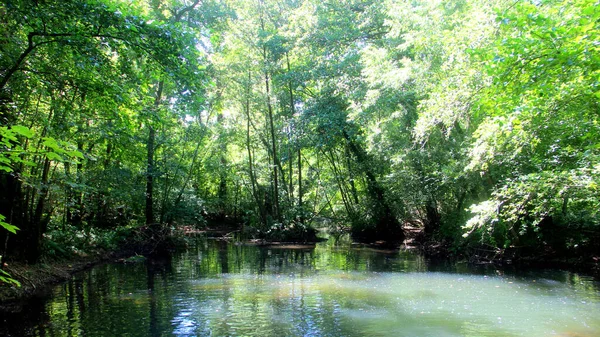 美丽的湖景 绿树成荫 — 图库照片