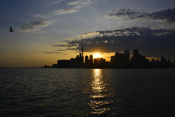 Силуэт Красивого Неба Города Торонто Канада Запечатлен Закате — стоковое фото