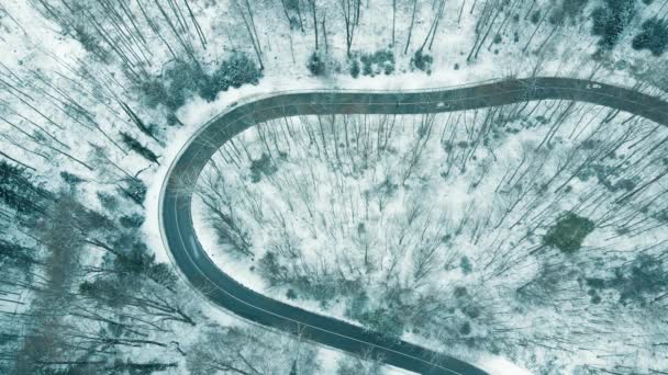 果てしなく続く冬の森の中を車が走る空中風景 — ストック動画