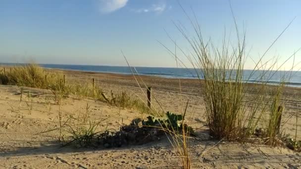 Belle Vue Sur Mer Plage — Video