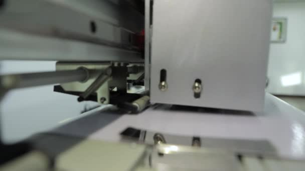 Breiter Digitaldruck Auf Selbstklebender Folie Digitale Flexdruckmaschine — Stockvideo