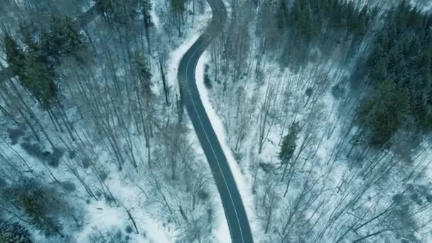 Vanuit Lucht Uitzicht Sneeuwbosweg — Stockvideo