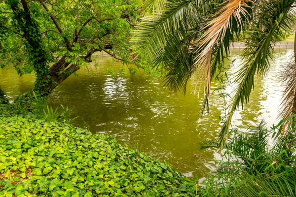 Ein Teich Umgeben Von Frischem Grün Park — Stockfoto