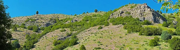 Panoramatický Záběr Hornaté Oblasti Zelenými Stromy Dne Pod Modrou Oblohou — Stock fotografie