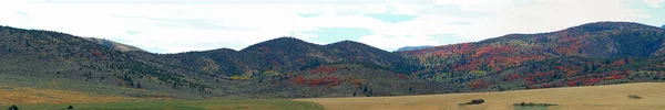 Plano Panorámico Montañas Con Árboles Coloridos Durante Día Bajo Cielo —  Fotos de Stock