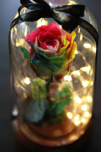 Plan Rapproché Vertical Une Lampe Verre Rose Conce Saint Valentin — Photo