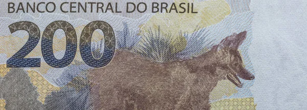 Primo Piano Una Banconota Brasiliana 200 Reais — Foto Stock