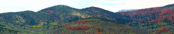 Захоплюючий Панорамний Знімок Гір Різнокольоровими Деревами Восени — стокове фото