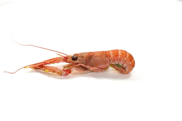 Tiro Close Crustáceo Mar Rosa Mediterrâneo Langoustine — Fotografia de Stock