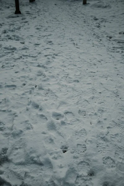 Pionowe Zbliżenie Ujęcia Kroków Śniegu — Zdjęcie stockowe
