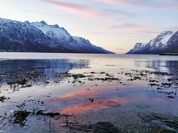 Сценічний Вид Спокійне Фіордове Озеро Ерсфіордбонні Норвегія — стокове фото