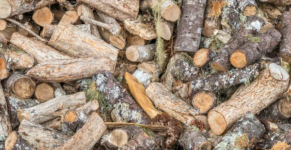 Nahaufnahme Eines Brennholzes — Stockfoto