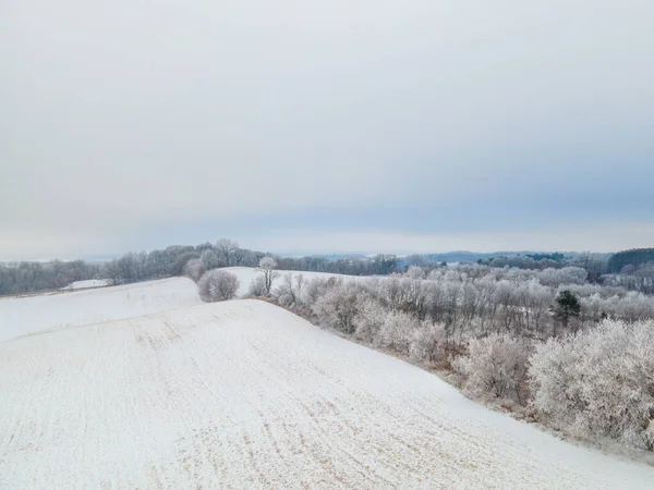 冬の霧の日に撮影された雪に覆われたフィールドと木の空中ショット — ストック写真