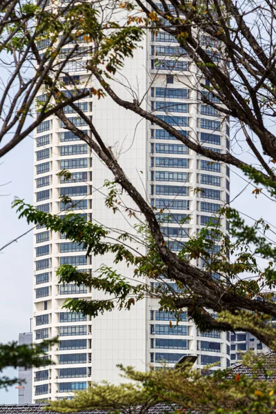 Tiro Foco Raso Edifício Alto Atrás Árvore — Fotografia de Stock