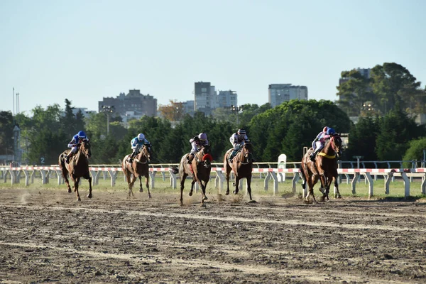 布宜诺斯艾利斯 布宜诺斯艾利斯 2019年10月31日 阿根廷巴勒莫赛马场 Hipodromo Argentino Palermo 的赛马比赛 阿根廷最有名的赛马比赛场地 — 图库照片