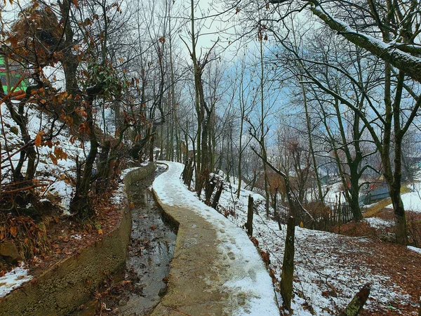 克什米尔大雪的特写使整个山谷一片白茫茫 — 图库照片