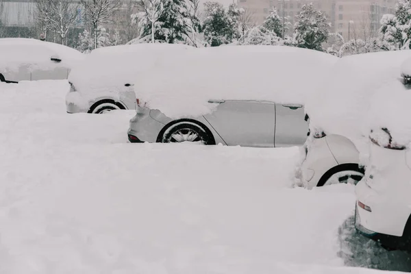 Une Rangée Voitures Recouvertes Neige Pendant Tempête Hivernale Filomena Madrid — Photo