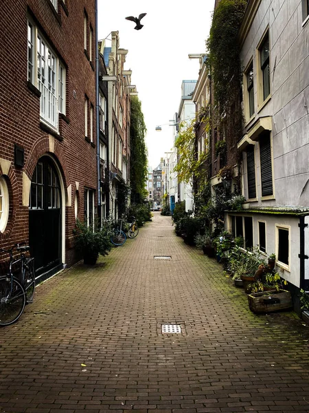 阿姆斯特丹一条被建筑物环绕的空旷街道的垂直截图 — 图库照片