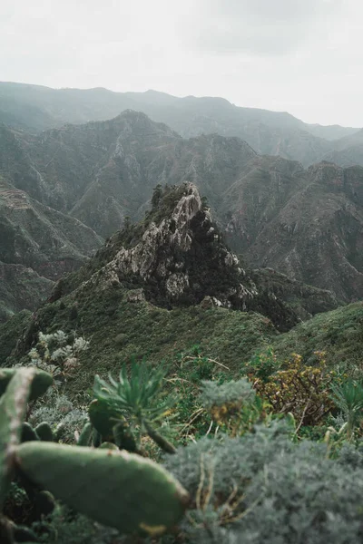 Hiking North Tenerife — Stock Photo, Image