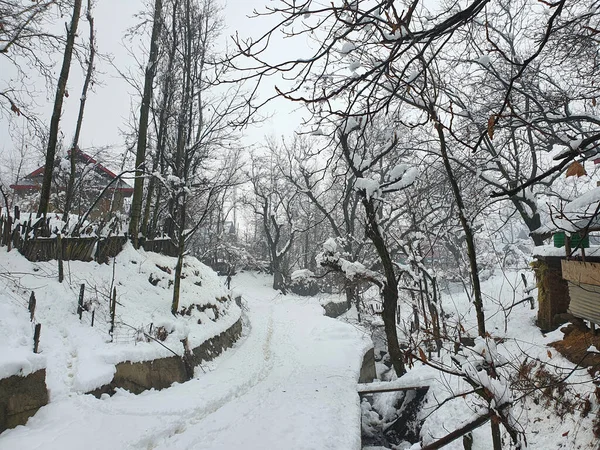 克什米尔大雪的特写使整个山谷一片白茫茫 — 图库照片