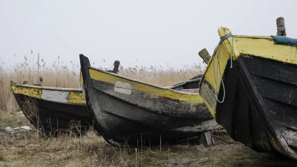 Tiro Foco Seletivo Árvores Velhas Barcos Pesca Abandonados — Fotografia de Stock