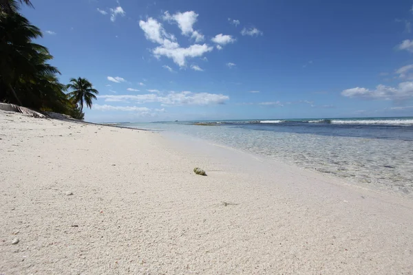 Una Hermosa Toma Isla Saona Caribe — Foto de Stock