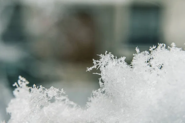 Μια Μακρο Εικόνα Μιας Νιφάδας Χιονιού — Φωτογραφία Αρχείου