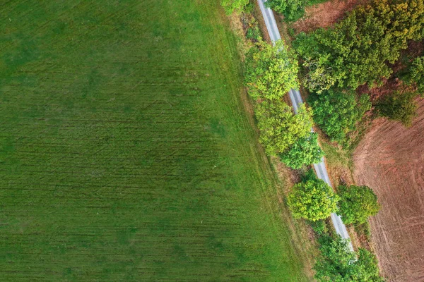 Воздушный Снимок Луга Рядом Наклонной Дорожкой Краю Группы Деревьев — стоковое фото