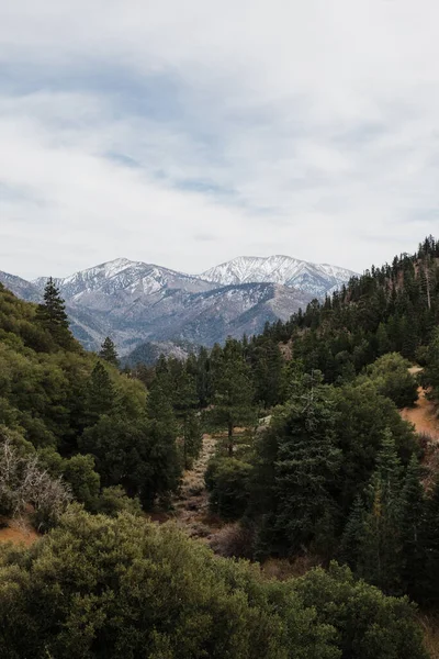 Uma Bela Foto Vegetação Coberto Montanhas Floresta Nacional Angeles Califórnia — Fotografia de Stock
