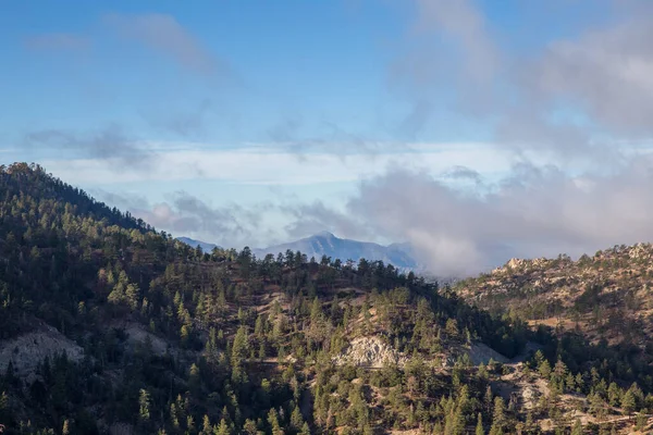 緑に覆われた山々の美しいショット 国立の森 カリフォルニア州 — ストック写真