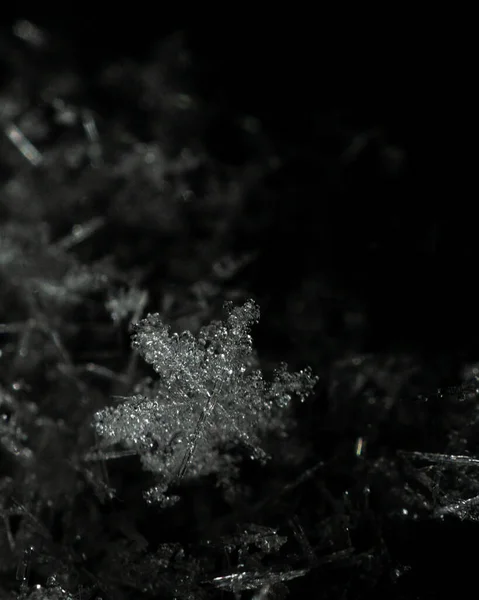 Eine Vertikale Nahaufnahme Weißer Schneeflocken — Stockfoto