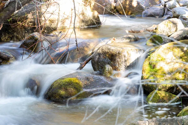 Ormandaki Bir Nehirde Yosun Kaplı Taşların Yakın Çekimi — Stok fotoğraf