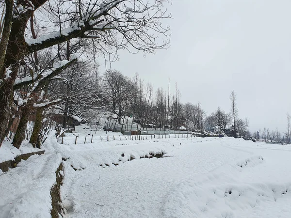 Närbild Det Tunga Snöfallet Kashmir Gjorde Hela Dalen Vit — Stockfoto