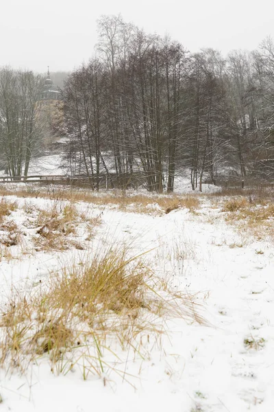 Een Verticale Opname Van Besneeuwd Zandpad Met Gras Bomen Tijdens — Stockfoto