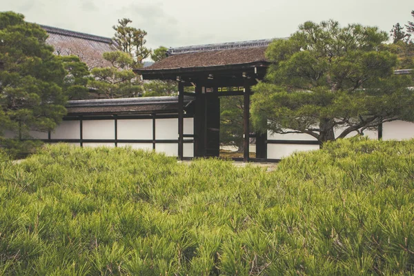 Gyönyörű Kilátás Nyílik Ninnaji Templomra Körülvéve Fákkal Észak Kiotóban Japánban — Stock Fotó
