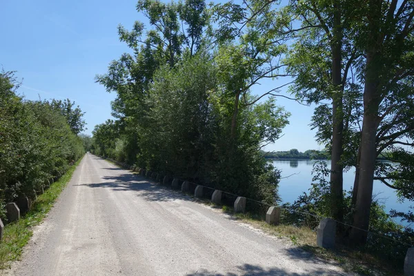 湖边的一条路 旁边有树 — 图库照片