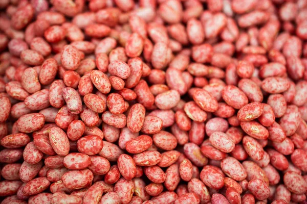 原生红豆的无缝纹理 — 图库照片