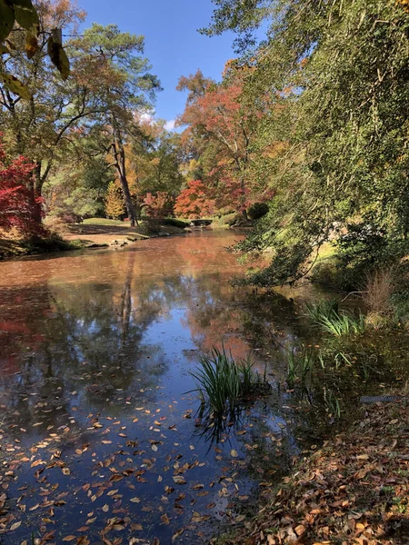 Вертикальный Снимок Озера Красочном Лесу Сделанный Осенью Днем — стоковое фото