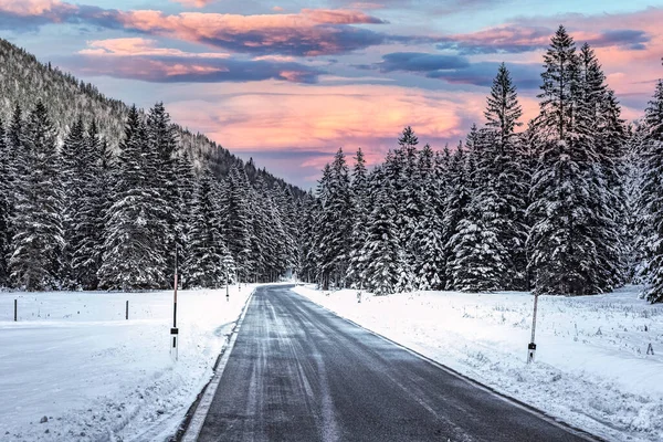 Een Rijweg Binnen Winter Woud — Stockfoto